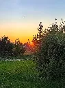 1674625.webp