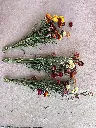 IMG_1423.webp