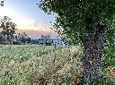 IMG_3890.webp