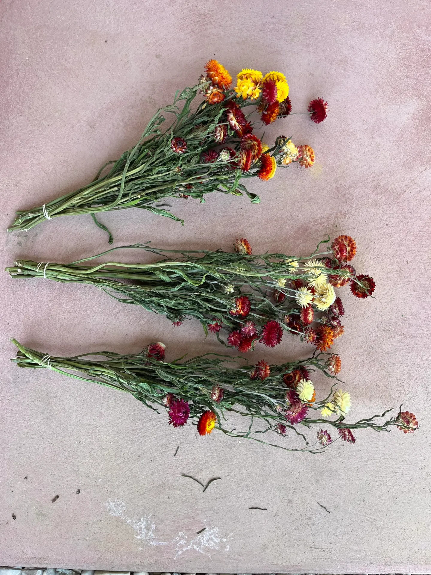 Trockenblumen im Bund