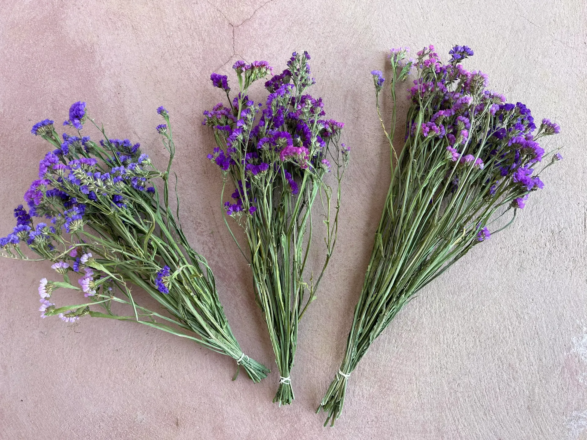 Trockenblumen im Bund