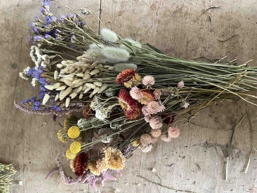 [TrMixKl] Trockenblumen - Bunter Mix